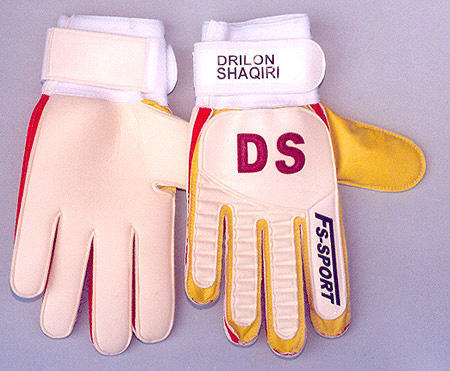 Standard_fs-sport-shaqiri-02