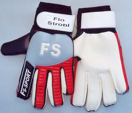 Standard_fs-sport-strobl-01