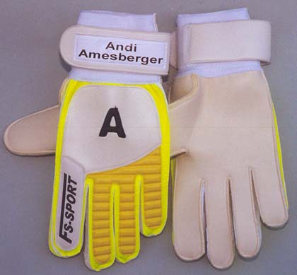 Standard_fs-sport-amesberger-001