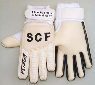 Standard_fs-sport-steinhart-002