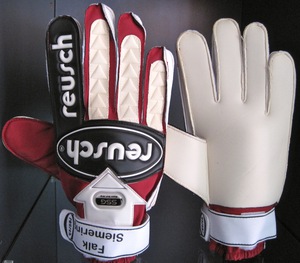 locust goalkeeper gloves